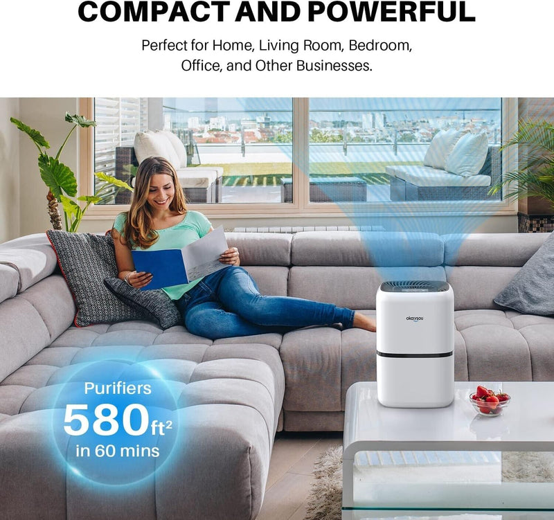 Okaysou AirMic4S H13 Air Purifier