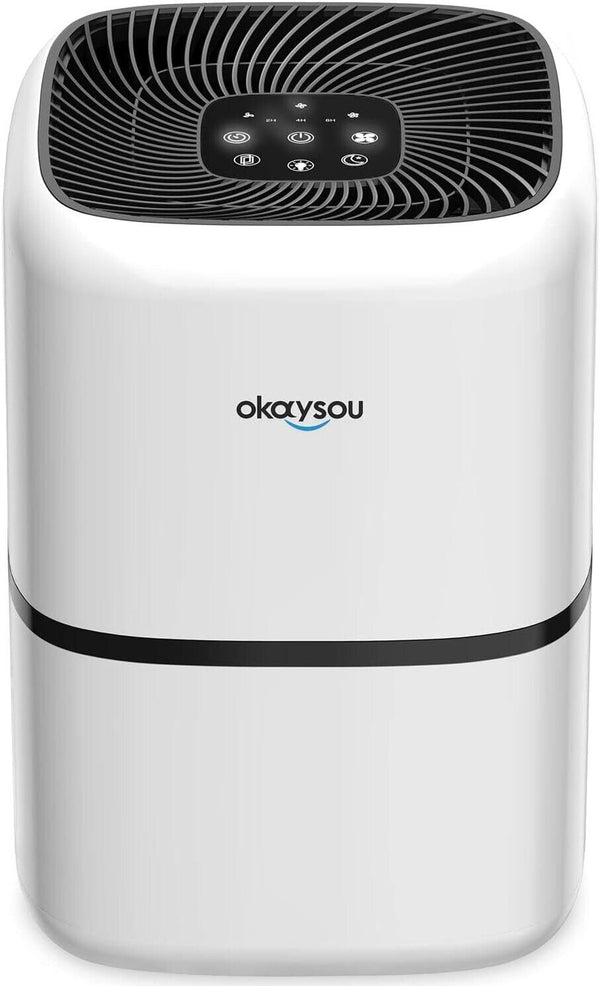 Okaysou AirMic4S H13 Air Purifier