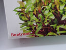 18-Pack Microgreens Growing Kit by Totalgreen  Basil