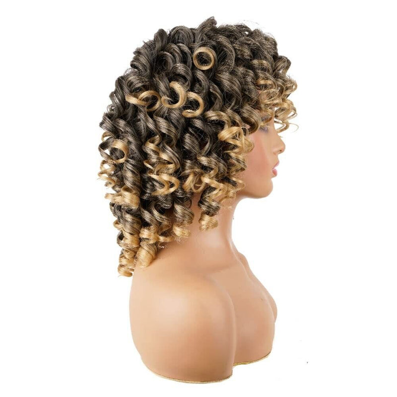 Three Wigs AISI HAIR  African American Wig Kinky Curly Hair Plus Wavy Hair