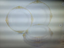359pcs Nervure 260PCS White & Gold Plastic 8" Plates & 99PCS of Gold Plast/Ware