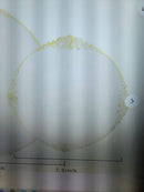 359pcs Nervure 260PCS White & Gold Plastic 8" Plates & 99PCS of Gold Plast/Ware