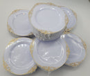 359pcs Nervure 260PCS White & Gold Plastic 8" Plates & 99PCS of Gold Plast/Ware