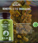 Saw Palmetto Supplement 5000mg with Pumpkin Seed, 300 Capsules +Herbame Mullein