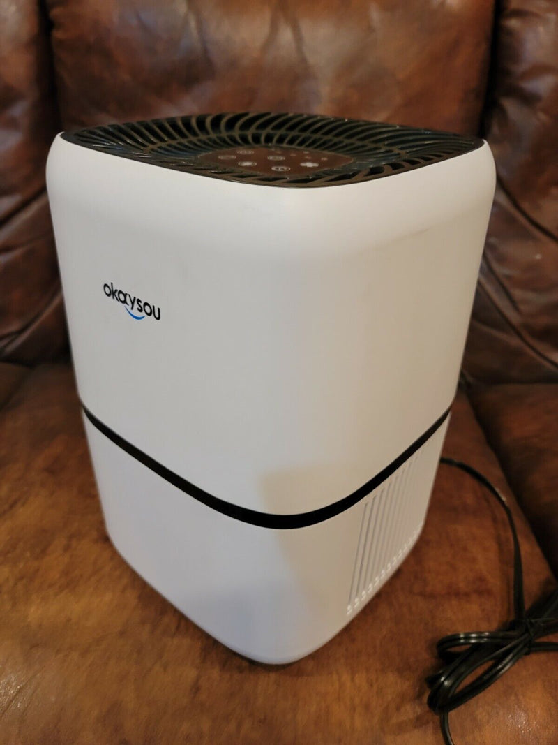 Okaysou AirMic4S H13 Air Purifier