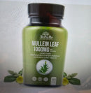 Saw Palmetto Supplement 5000mg with Pumpkin Seed, 300 Capsules +Herbame Mullein