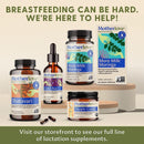 Motherlove More Milk Plus Supports Lactation, 60 Liquid Capsules