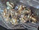 12 Pack  Self-Retaining Cage Nuts - 3/8" Panel Hole Size + 3 other sets Pictured