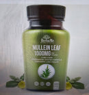 Saw Palmetto Supplement 5000mg with Pumpkin Seed, 300 Capsules +Herbame Mullein