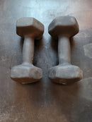 TWO Hex Neoprene Dumbbell 12 lbs  x two
