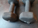 TWO Hex Neoprene Dumbbell 12 lbs  x two