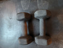TWO Hex Neoprene Dumbbell 12 lbs  x two
