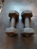 TWO Hex Neoprene Dumbbell 12 lbs  x two