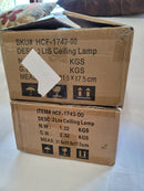 2-Light Black Metal Caged Flush Mount Ceiling Lamp 11 inch Farmhouse